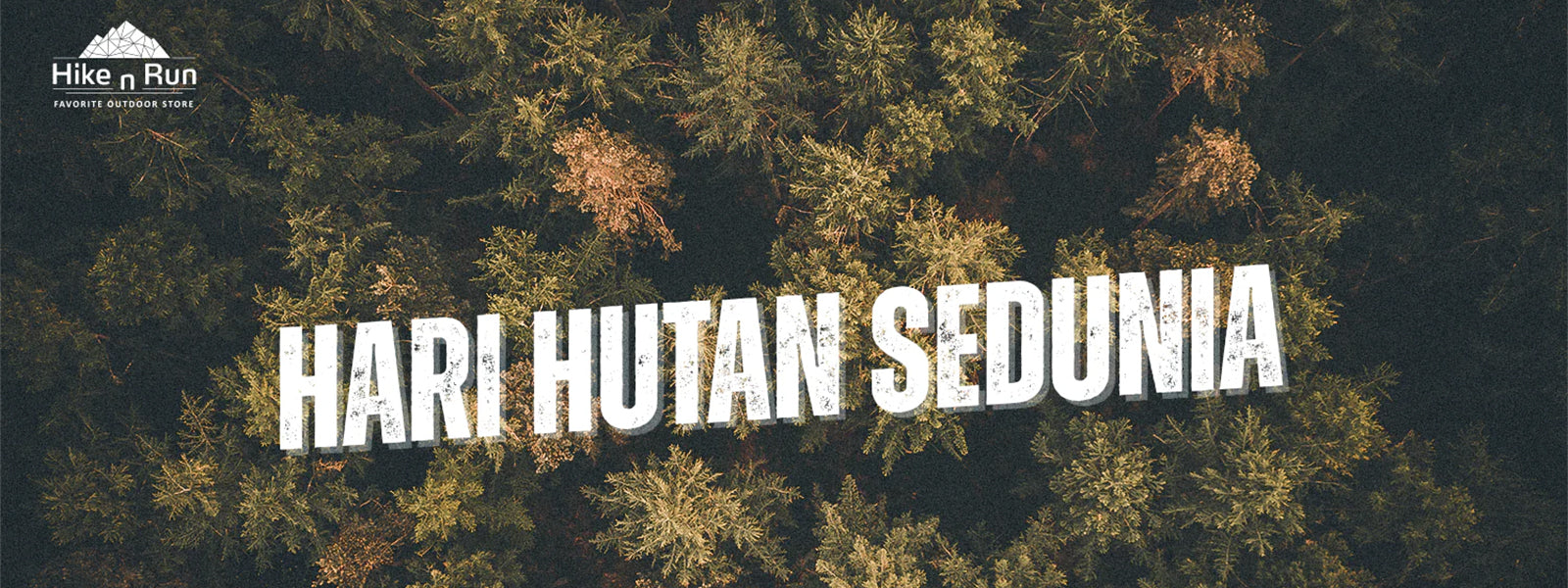 Hari Hutan Sedunia. Masih Pantaskah Indonesia Menduduki Peringkat ke 3 Sebagai Hutan Terluas Sedunia?