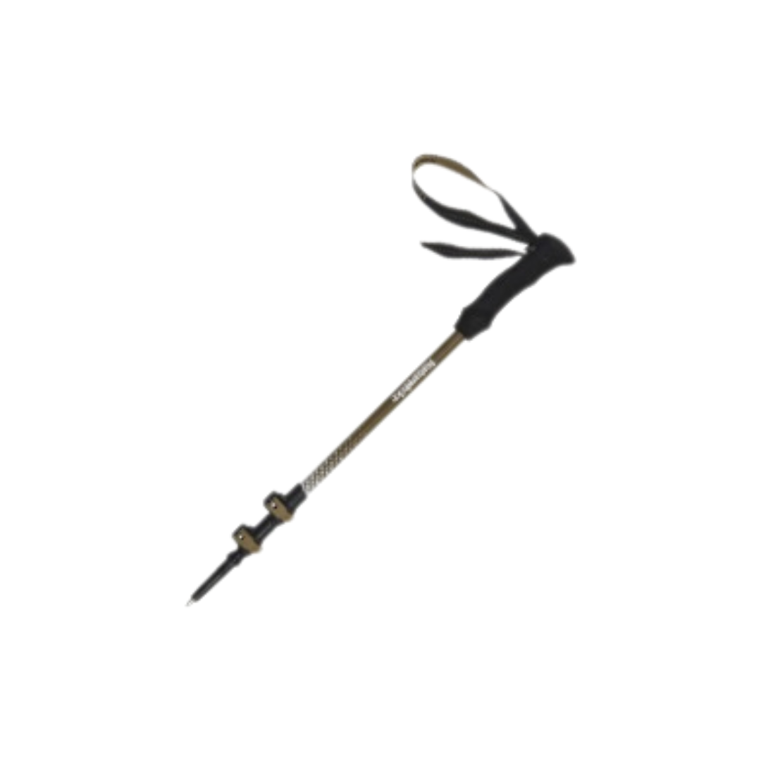 NATUREHIKE TREKKING POLE CNK2300DS010