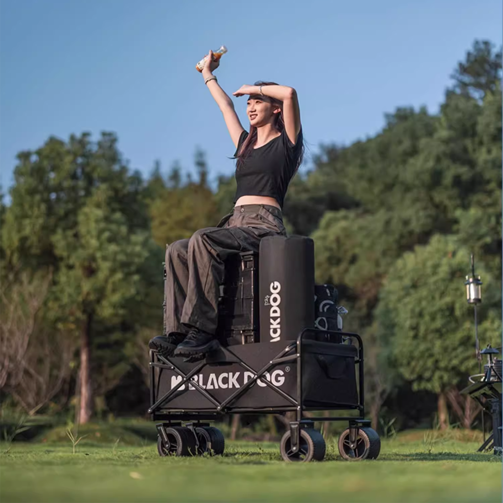 BlackDog Troli Lipat City Walk CBD2300JJ023 Folding Camping Trolley