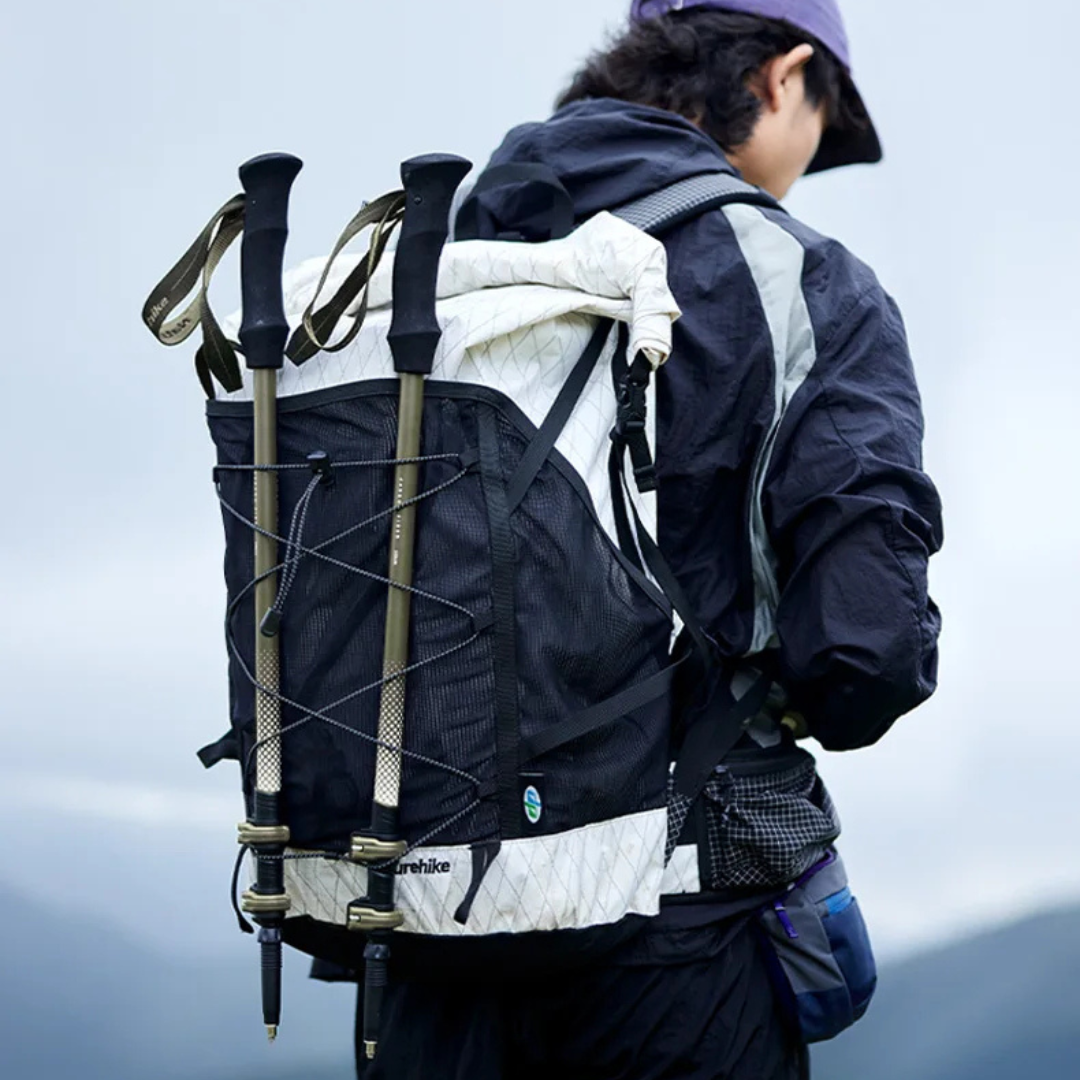 NATUREHIKE TREKKING POLE CNK2300DS010