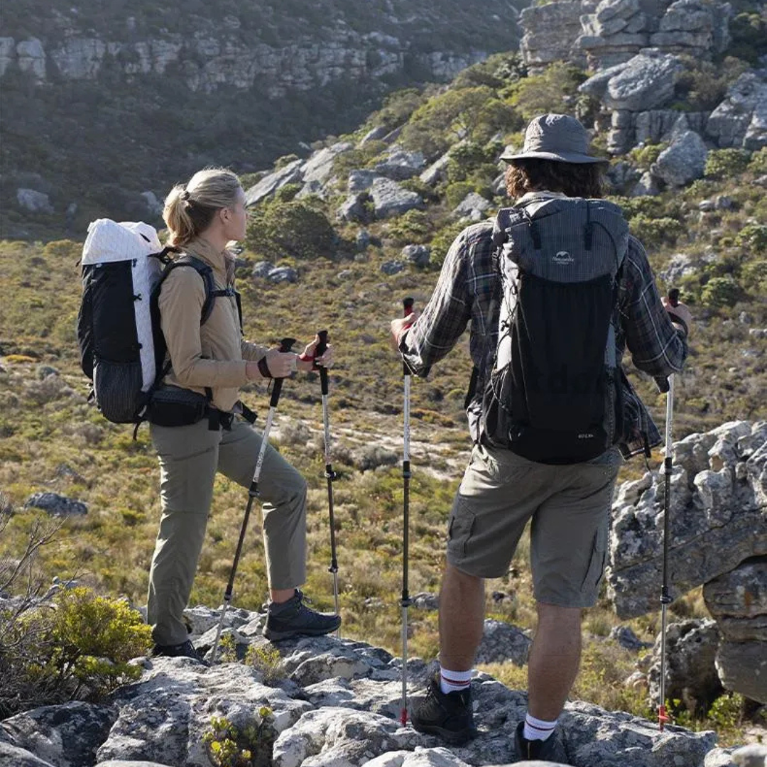 Naturehike ST06 Alu-Carbon Trekking Pole NH17D006-D