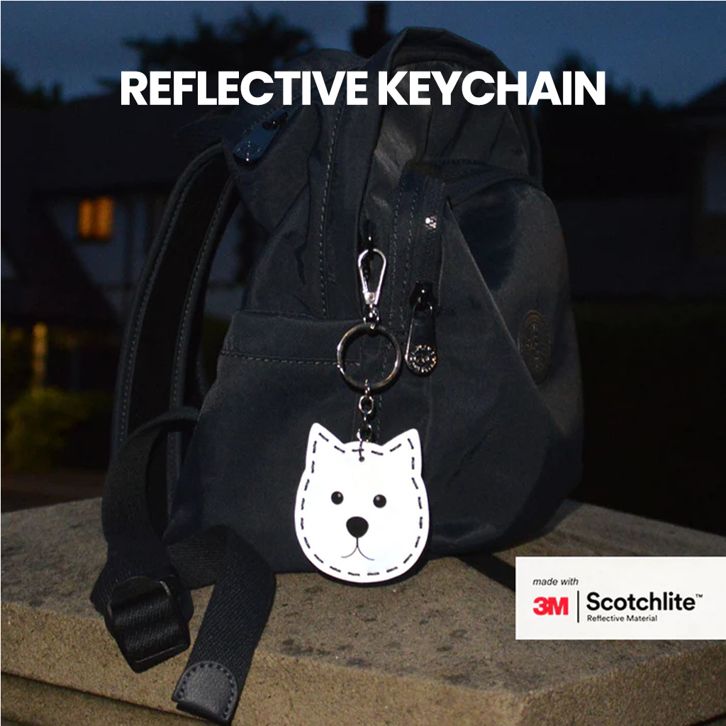 Gantungan Kunci Reflektif Salzman Reflective Keychain 30011