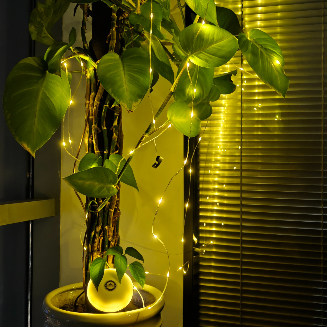 HNR Lampu LED Dekorasi Aesthetic Starry String Tumbler Light