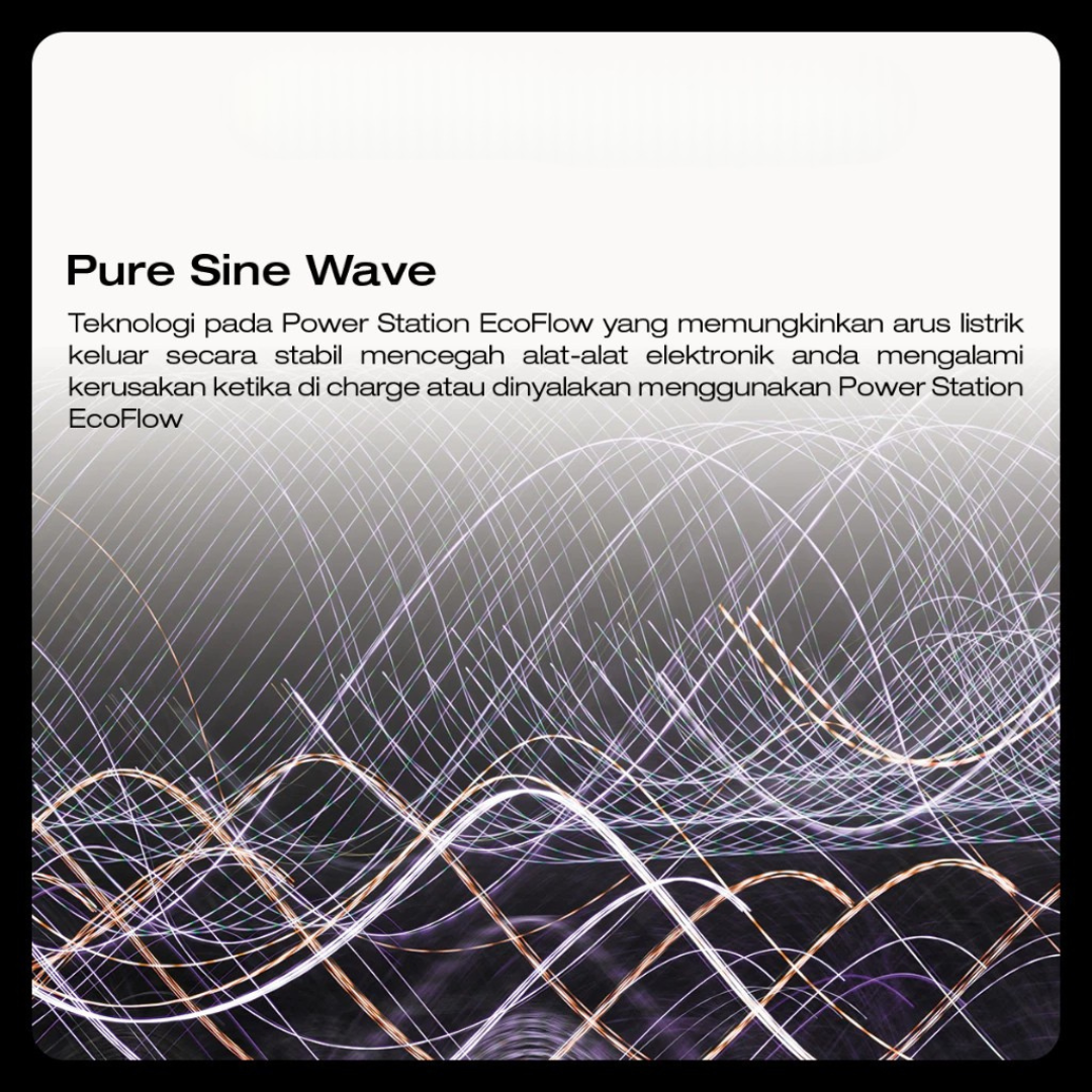 EcoFlow Portable Power Station E980 Genset Listrik 980 Wh 500 W Limited Black Edition