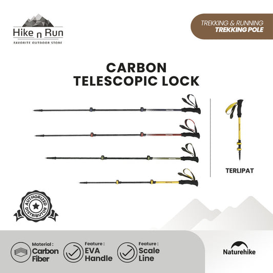 NATUREHIKE TREKKING POLE CNK2300DS010