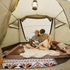 Tenda Glamping Naturehike NH22YW005 Aries Beta Tunnel Tent