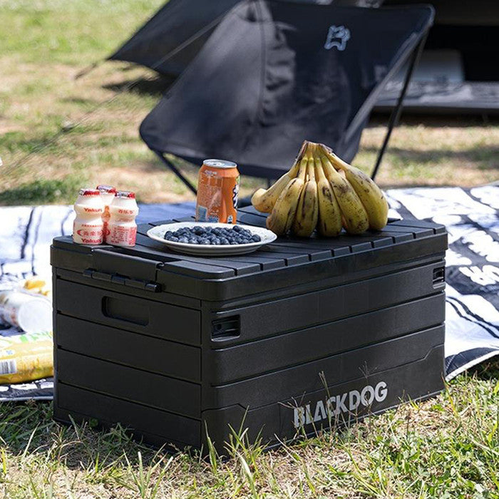 KOTAK PENYIMPANAN LIPAT BLACKDOG BD-SNX003 PORTABLE STORAGE BOX
