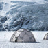 Tenda Camping Naturehike NH21ZP012 Shepherd Dome Large Tent